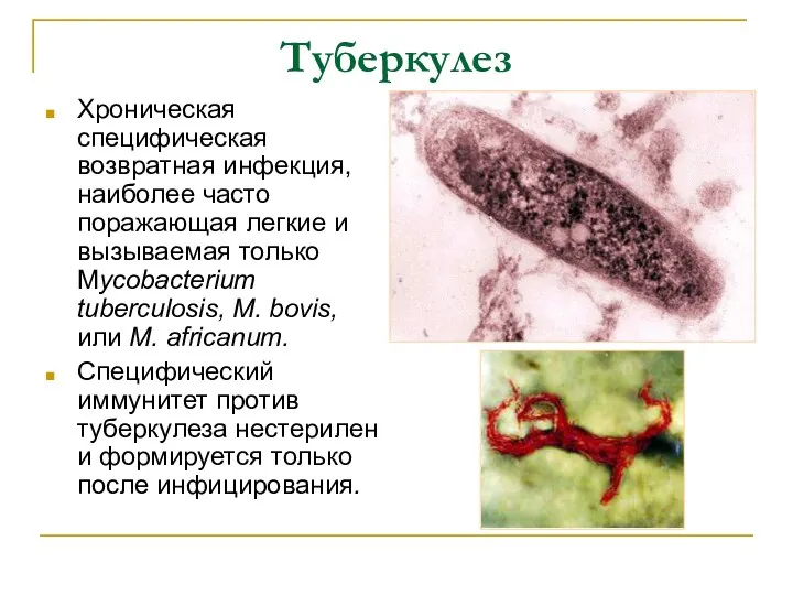 Туберкулез Хроническая специфическая возвратная инфекция, наиболее часто поражающая легкие и вызываемая