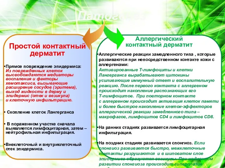 Патогенез Простой контактный дерматит Прямое повреждение эпидермиса: Из поврежденных клеток высвобождаются