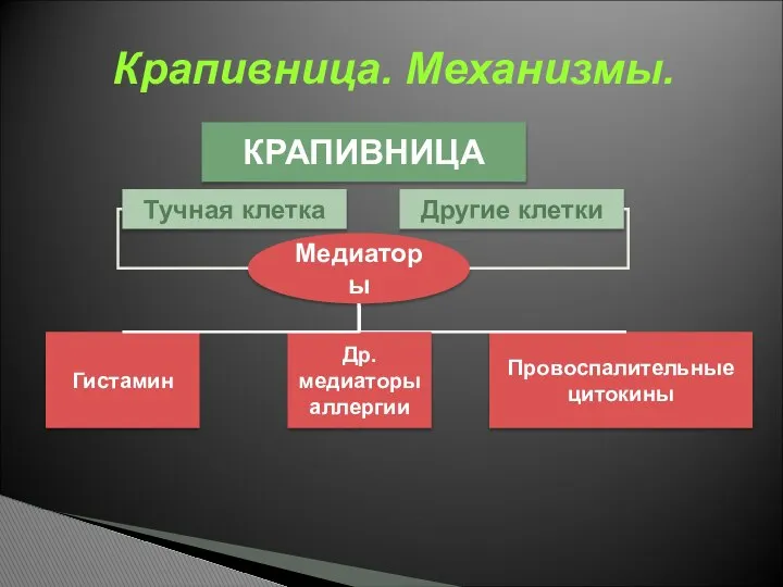 КРАПИВНИЦА Тучная клетка Другие клетки Медиаторы Провоспалительные цитокины Др. медиаторы аллергии Гистамин Крапивница. Механизмы.