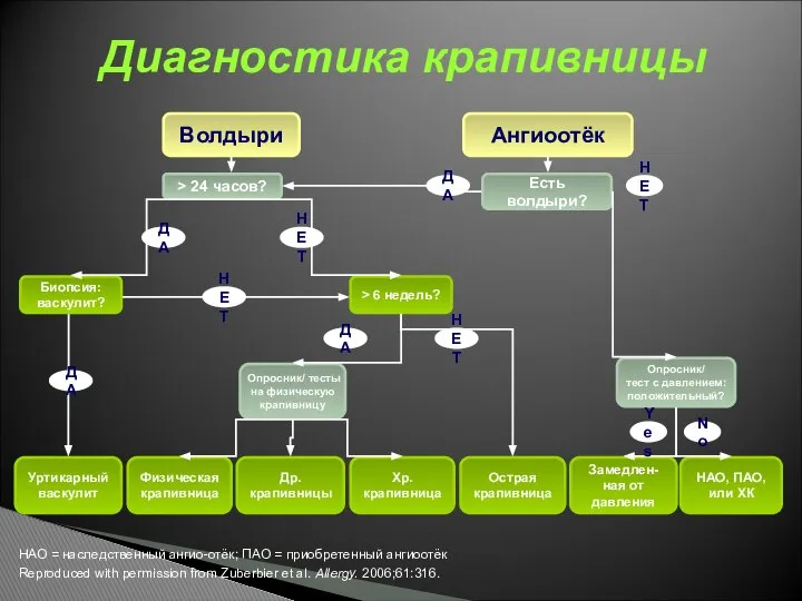 Диагностика крапивницы НАО = наследственный ангио-отёк; ПАО = приобретенный ангиоотёк Reproduced