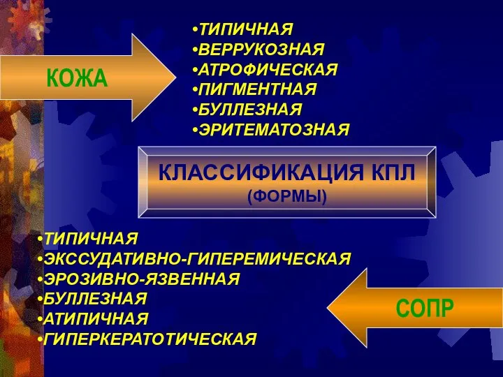 КОЖА СОПР КЛАССИФИКАЦИЯ КПЛ (ФОРМЫ) ТИПИЧНАЯ ВЕРРУКОЗНАЯ АТРОФИЧЕСКАЯ ПИГМЕНТНАЯ БУЛЛЕЗНАЯ ЭРИТЕМАТОЗНАЯ