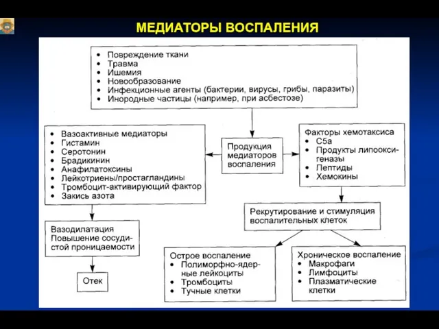 МЕДИАТОРЫ ВОСПАЛЕНИЯ