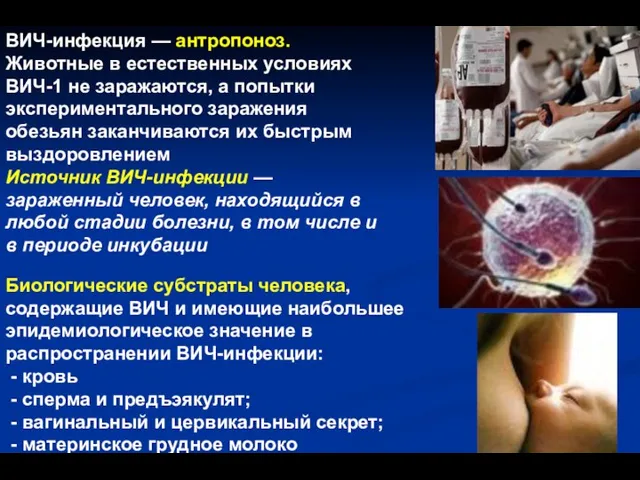 ВИЧ-инфекция — антропоноз. Животные в естественных условиях ВИЧ-1 не заражаются, а