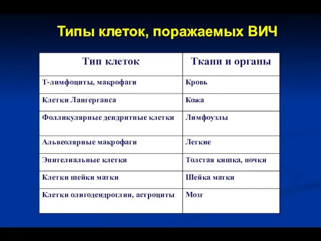 Типы клеток, поражаемых ВИЧ