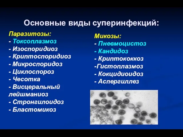 Основные виды суперинфекций: Паразитозы: - Токсоплазмоз - Изоспоридиоз - Криптоспоридиоз -