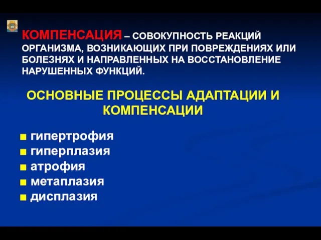 ОСНОВНЫЕ ПРОЦЕССЫ АДАПТАЦИИ И КОМПЕНСАЦИИ ■ гипертрофия ■ гиперплазия ■ атрофия