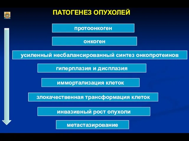 протоонкоген онкоген усиленный несбалансированный синтез онкопротеинов гиперплазия и дисплазия иммортализация клеток