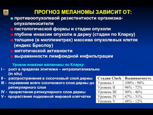 ПРОГНОЗ МЕЛАНОМЫ ЗАВИСИТ ОТ: ■ противоопухолевой резистентности организма- опухоленосителя ■ гистологической