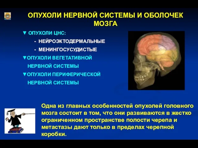 ОПУХОЛИ НЕРВНОЙ СИСТЕМЫ И ОБОЛОЧЕК МОЗГА ▼ ОПУХОЛИ ЦНС: - НЕЙРОЭКТОДЕРМАЛЬНЫЕ