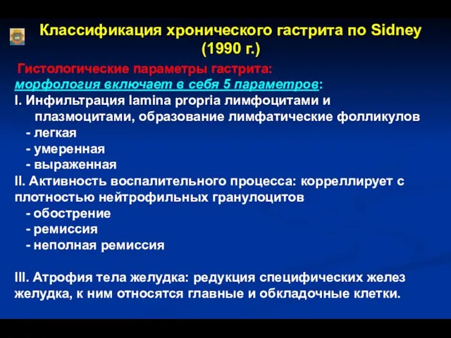 Классификация хронического гастрита по Sidney (1990 г.) Гистологические параметры гастрита: морфология