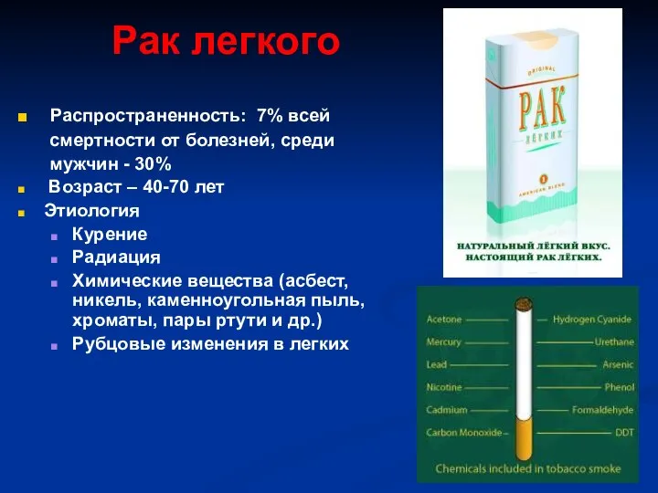 Рак легкого Распространенность: 7% всей смертности от болезней, среди мужчин -