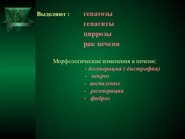 Выделяют : гепатозы гепатиты циррозы рак печени Морфологические изменения в печени: