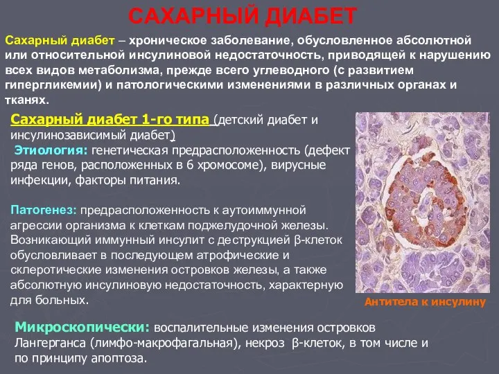 САХАРНЫЙ ДИАБЕТ Сахарный диабет – хроническое заболевание, обусловленное абсолютной или относительной