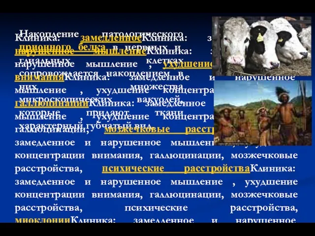 Накопление патологического прионного белка в нервных и глиальных клетках сопровождается накоплением