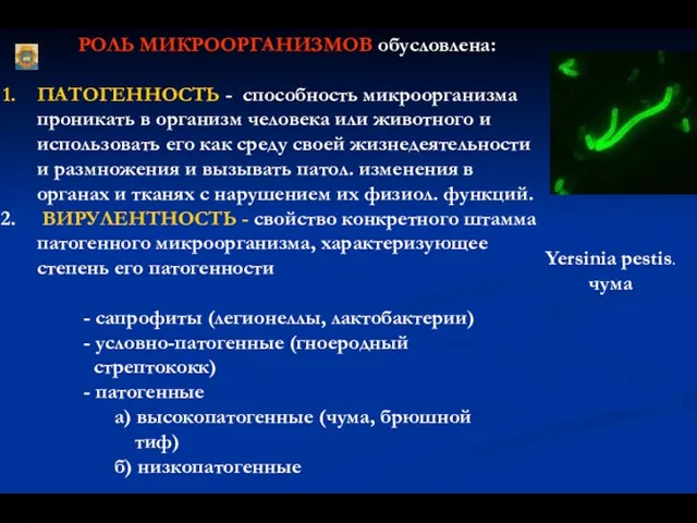 РОЛЬ МИКРООРГАНИЗМОВ обусловлена: ПАТОГЕННОСТЬ - способность микроорганизма проникать в организм человека