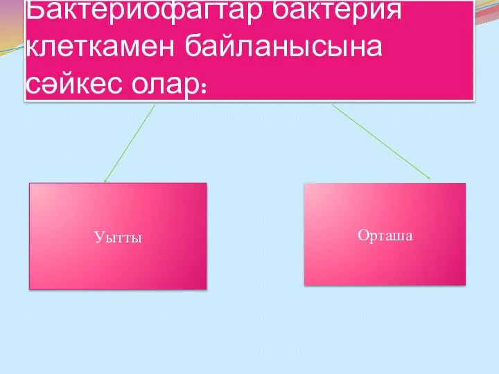 Бактериофагтар бактерия клеткамен байланысына сәйкес олар: Уытты Орташа