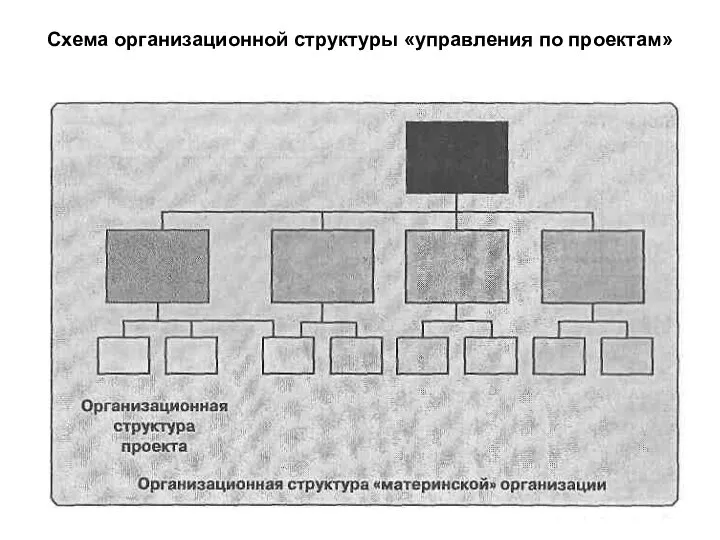 Схема организационной структуры «управления по проектам»