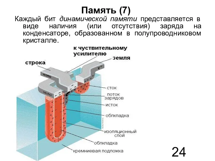 Память (7) Каждый бит динамической памяти представляется в виде наличия (или