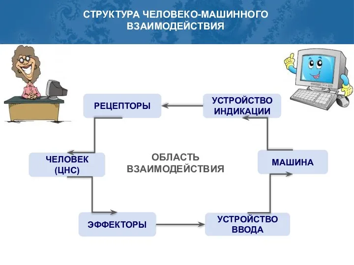 РЕЦЕПТОРЫ ЧЕЛОВЕК (ЦНС) ЭФФЕКТОРЫ УСТРОЙСТВО ИНДИКАЦИИ МАШИНА УСТРОЙСТВО ВВОДА СТРУКТУРА ЧЕЛОВЕКО-МАШИННОГО ВЗАИМОДЕЙСТВИЯ ОБЛАСТЬ ВЗАИМОДЕЙСТВИЯ