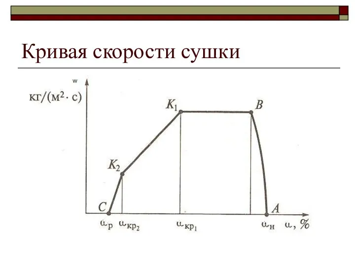 Кривая скорости сушки