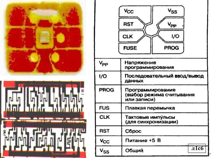 л1с6