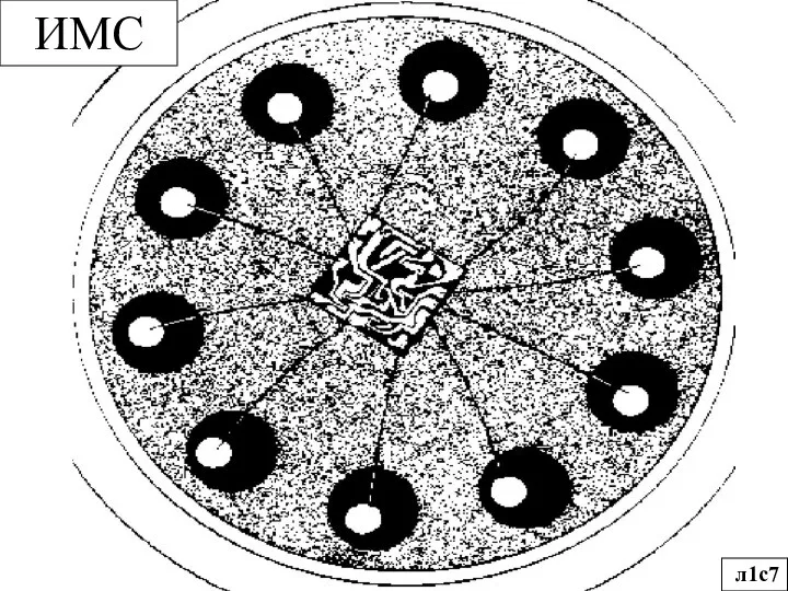 ИМС л1с7