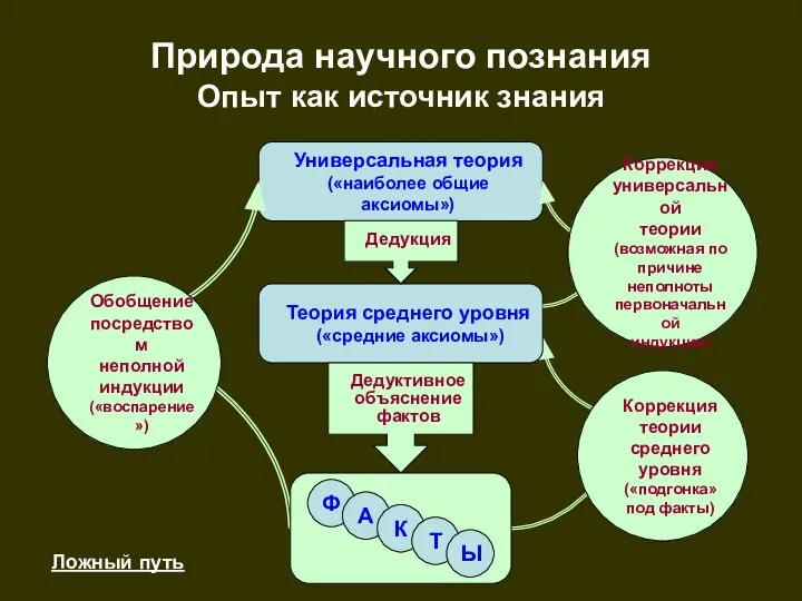 Природа научного познания Опыт как источник знания Универсальная теория («наиболее общие