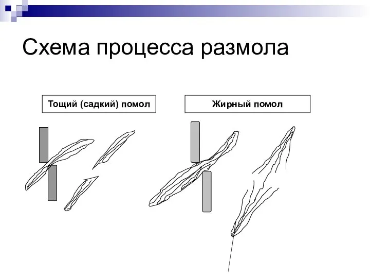 Схема процесса размола Тощий (садкий) помол Жирный помол