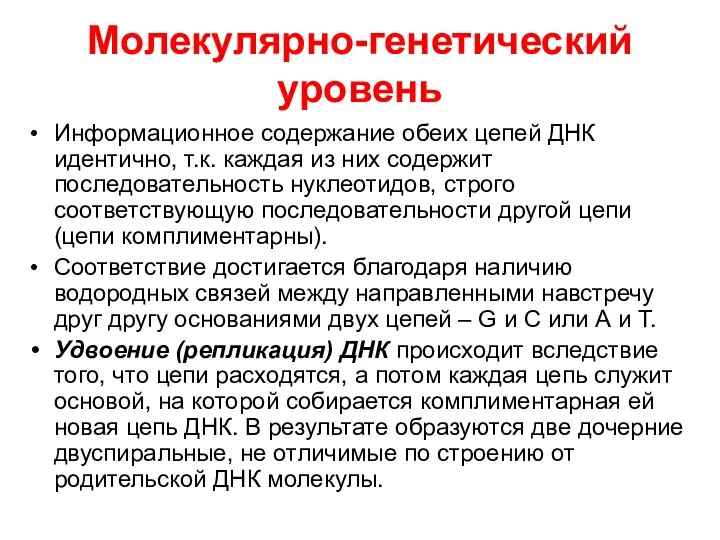 Молекулярно-генетический уровень Информационное содержание обеих цепей ДНК идентично, т.к. каждая из