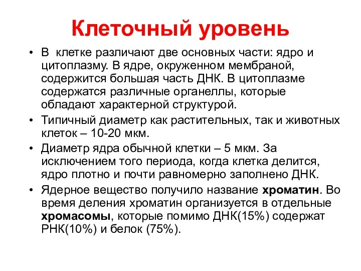 Клеточный уровень В клетке различают две основных части: ядро и цитоплазму.