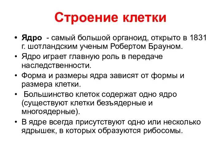 Строение клетки Ядро - самый большой органоид, открыто в 1831 г.