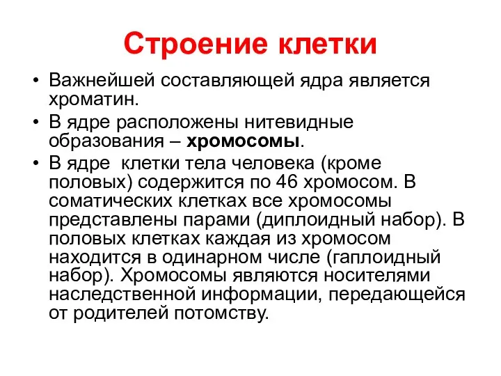 Строение клетки Важнейшей составляющей ядра является хроматин. В ядре расположены нитевидные