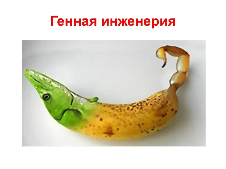 Генная инженерия