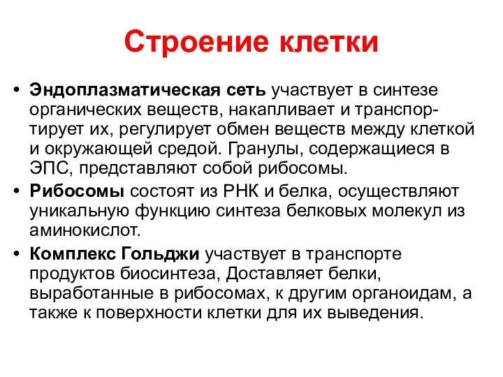 Строение клетки Эндоплазматическая сеть участвует в синтезе органических веществ, накапливает и