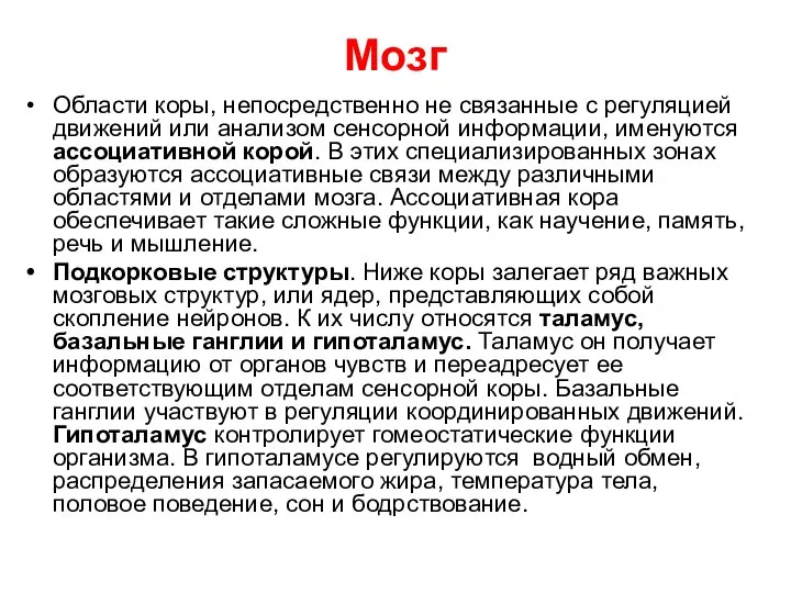 Мозг Области коры, непосредственно не связанные с регуляцией движений или анализом