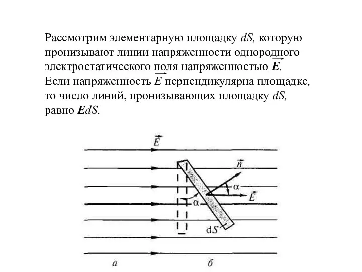 Рассмотрим элементарную площадку dS, которую пронизывают линии напряженности однородного электростатического поля