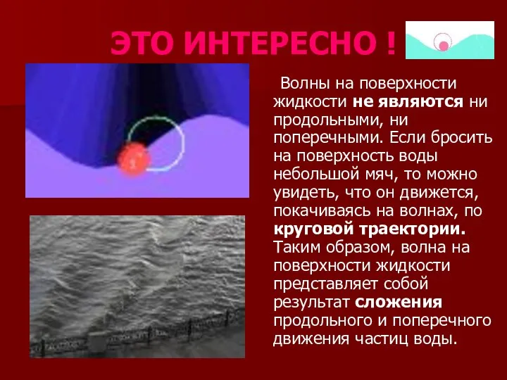 ЭТО ИНТЕРЕСНО ! Волны на поверхности жидкости не являются ни продольными,