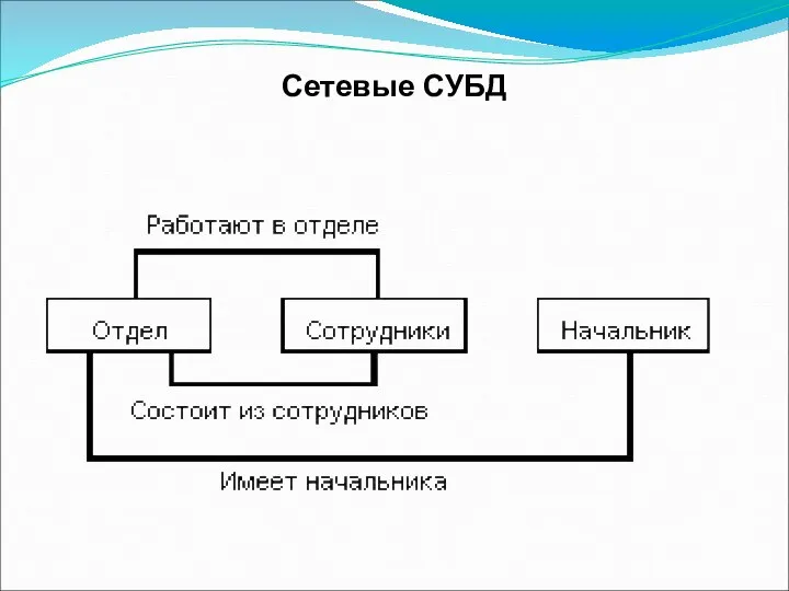 Сетевые СУБД