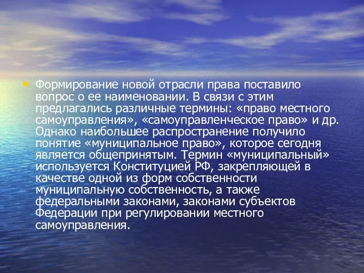 Формирование новой отрасли права поставило вопрос о ее наименовании. В связи