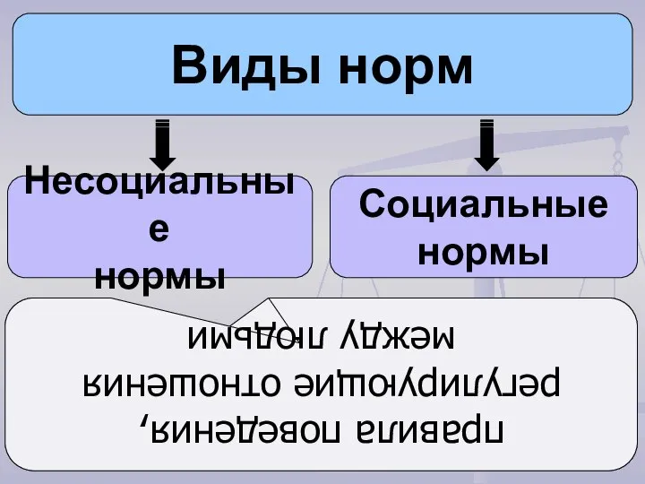 Виды норм Несоциальные нормы Социальные нормы регулируют отношения человека с природой,