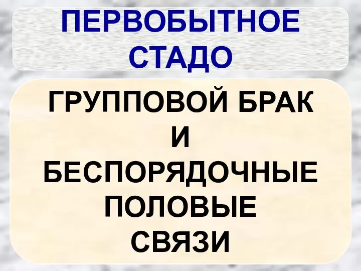 ПЕРВОБЫТНОЕ СТАДО КОЧЕВОЙ ОБРАЗ ЖИЗНИ НЕБОЛЬШОЙ ГРУППЫ ЛЮДЕЙ – 30-40 ЧЕЛОВЕК