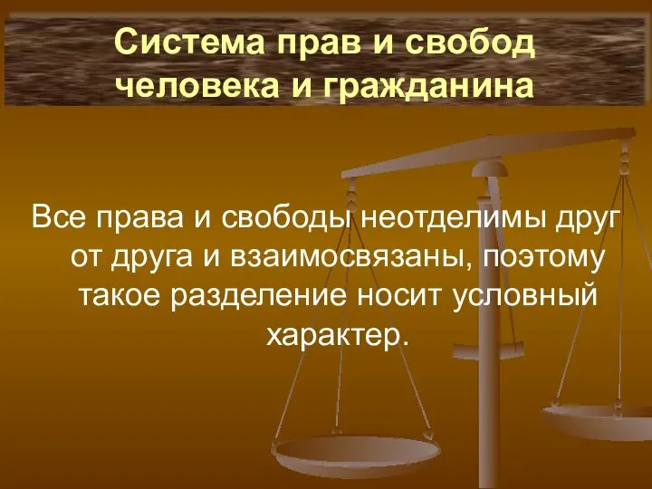 Система прав и свобод человека и гражданина Все права и свободы