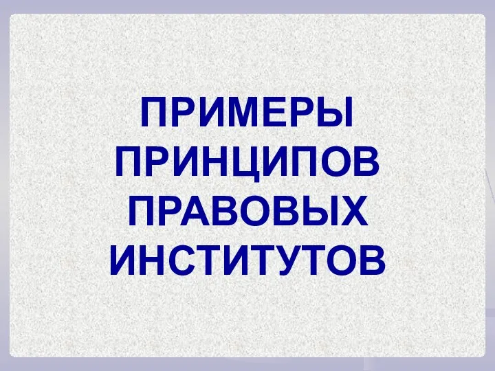 ПРИМЕРЫ ПРИНЦИПОВ ПРАВОВЫХ ИНСТИТУТОВ