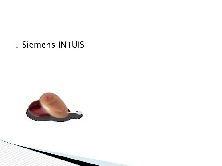 Siemens INTUIS