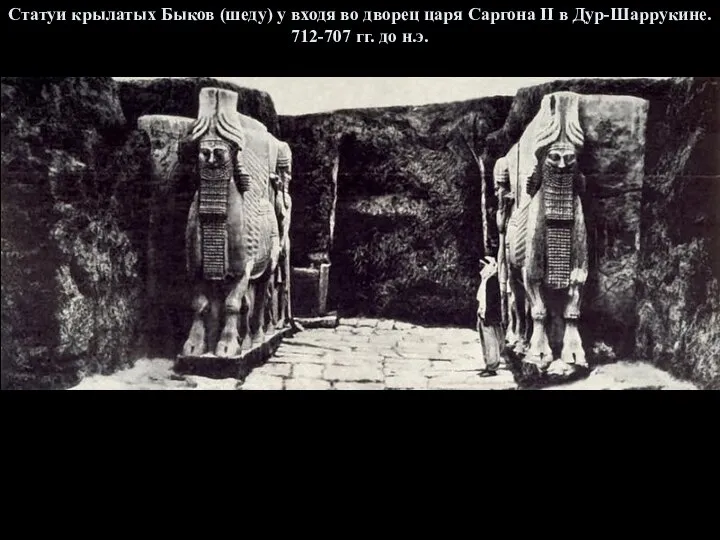 Статуи крылатых Быков (шеду) у входя во дворец царя Саргона II