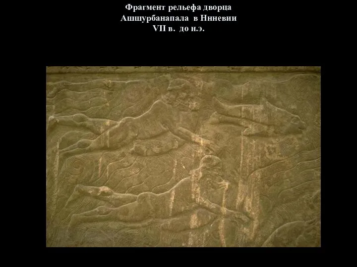 Фрагмент рельефа дворца Ашшурбанапала в Ннневии VII в. до н.э.