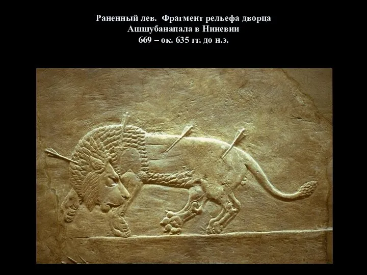 Раненный лев. Фрагмент рельефа дворца Ашшубанапала в Ниневии 669 – ок. 635 гг. до н.э.