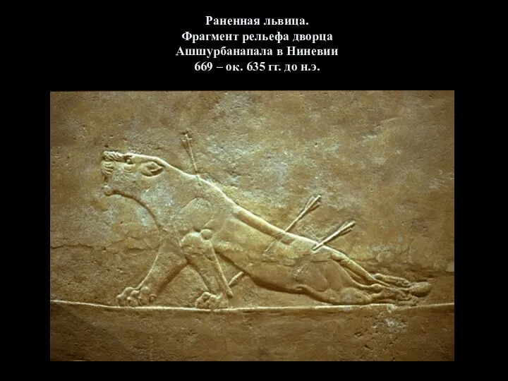 Раненная львица. Фрагмент рельефа дворца Ашшурбанапала в Ниневии 669 – ок. 635 гг. до н.э.