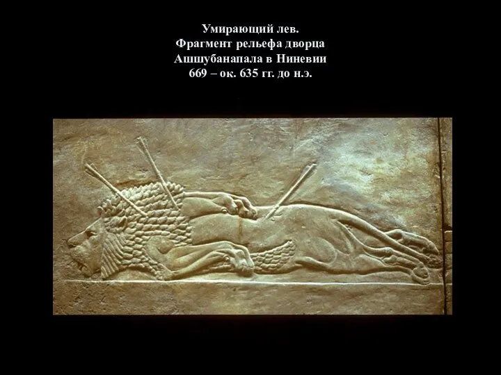 Умирающий лев. Фрагмент рельефа дворца Ашшубанапала в Ниневии 669 – ок. 635 гг. до н.э.