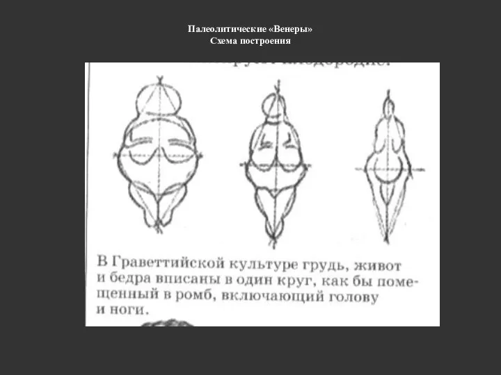 Палеолитические «Венеры» Схема построения